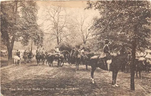 br109847 morning ride rotten row london real photo uk horse