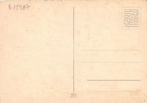 B15987 Tiere Animaux Elefanten