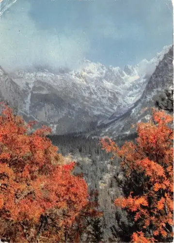 B64393 Vysoke Tatry Slowakei