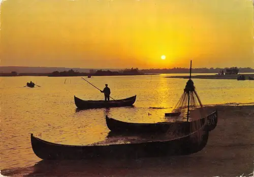 BT13852 Delta Dunarii In Amurg Rumänien Donaudelta