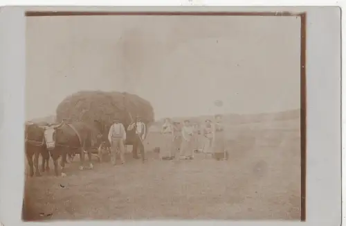 B80678 Typen Feldarbeit Kostüm Menschen Polen Vorder-/Rückbild