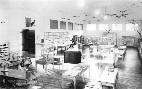 BF35949 Library Museum Walfeboro N H USA Front/Back Scan