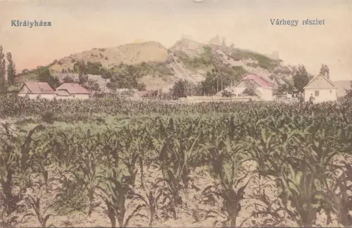 B82664 Kiralyhaza Maisplantage Landwirtschaft Korolevo Ukraine Front/Back Scan