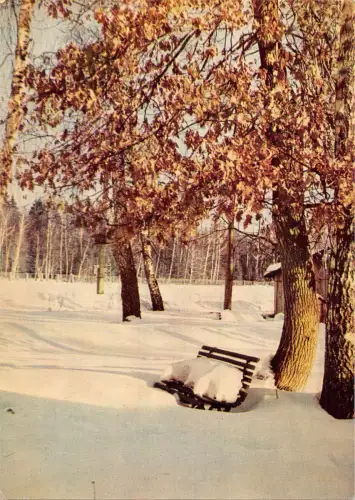 BR57221 russisches Outdoor Garb November Flugzeug Airplane Aeroflot Russia 2