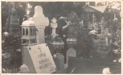 ro488 familia margareta micsunescu romania morant bucuresti