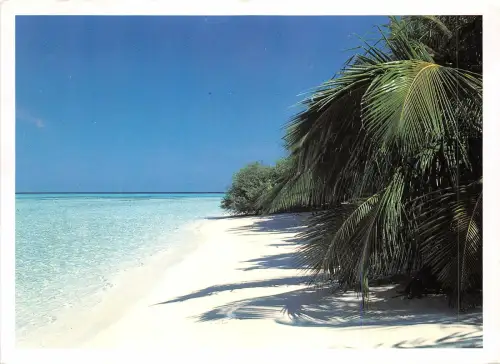 lot 18 malediven beach