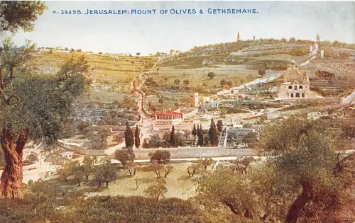 Lot 43 Jerusalem Israel Ölberg und Gethsemane