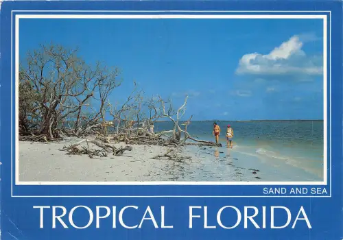 Lot 11 USA Florida Sand und Meer Malerisch Florida Meer Küste
