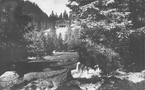 B78248 casa bulea hutte sibiu romania