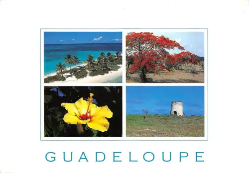 B51037 Guadeloupe multi vues