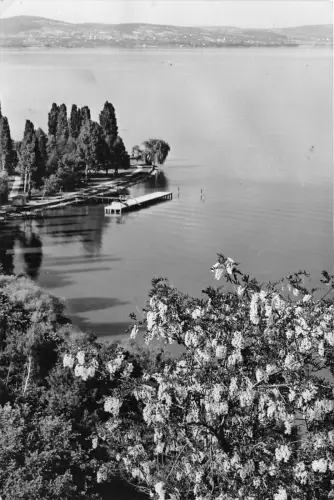 B40286 Balaton Ungarn