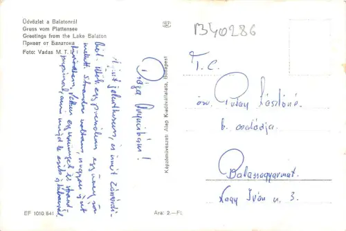 B40286 Balaton Ungarn