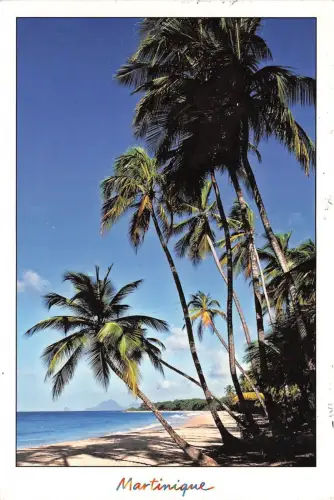 B49540 Martinique Plage des Salines france
