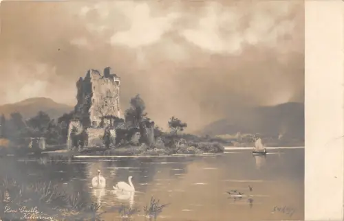 uk24508 ross castle killarney ireland