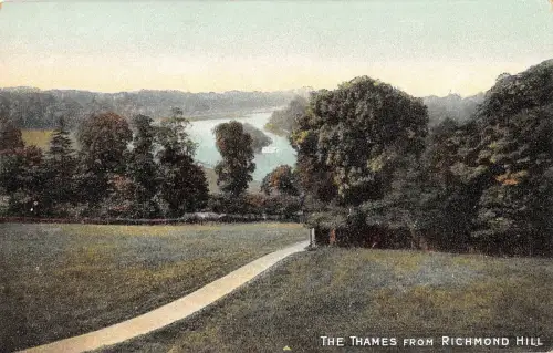 BR79264 the thames from richmond hill london uk