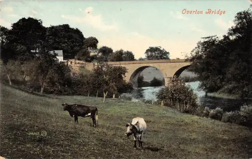 BR70315 Overtoun Bridge Cow Vache Schottland