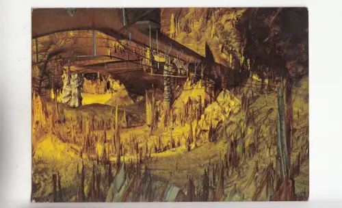 BF26265 postojnska jama croatia front/back image