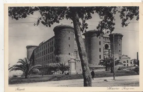 BF32556 napoli maschio angnoise italy front/back image