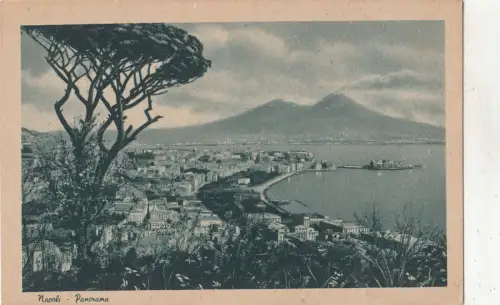 BF32421 Napoli Panorama Italien Vorder-/Rückbild