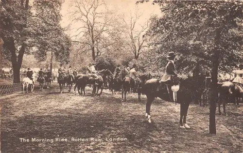 B85656 horse the morning ride rotten row london uk