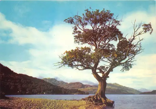 BR11103 Die Bonnie Banks von Loch Lomond mit Blick nach Norden von Inverbeg Schottland