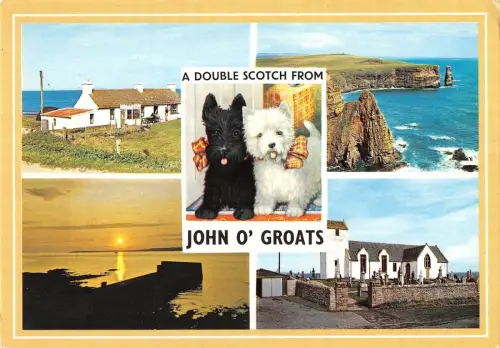 B102448 ein Double Scotch von John O Groats Hund Schottland