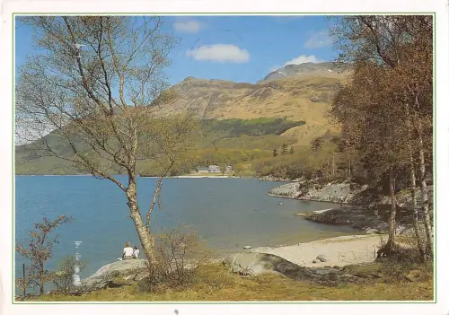 BR90728 loch lomond at rowardennan central scotland