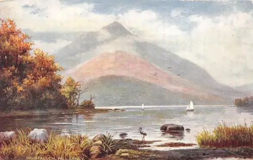 B4823 Innisfallen Front/Back Scan