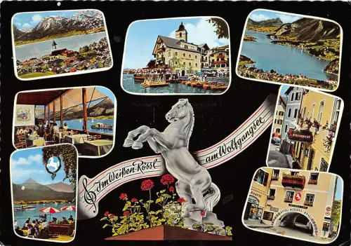 B32073 Im Weifer Rosse am Wolfgangsee Österreich