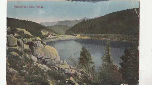 BF32459 schwarz siehe Österreich Vorder-/Rückbild