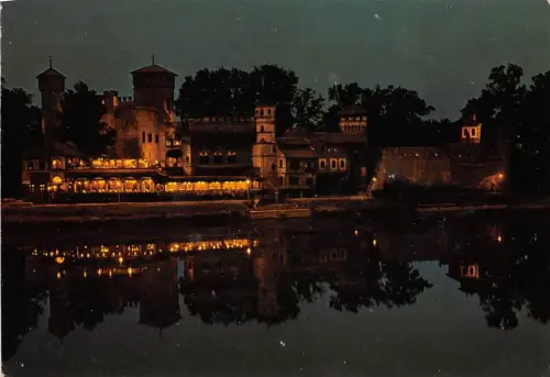 B33607 Torino di Notte italy