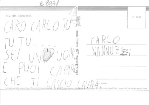 B8971 Italy Chat Cat