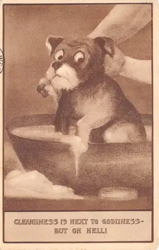 Lot341 Hund basteln Bad Comic Postkarte Humor UK