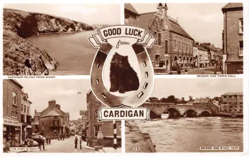 uk51071 viel Glück von Strickjacke Wales Echtfoto UK