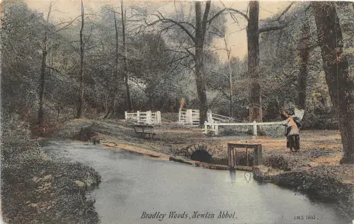 br109055 newton abbot bradley woods uk