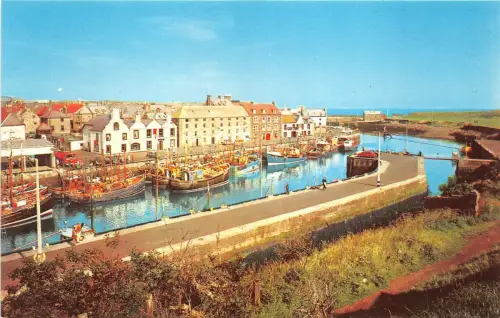 B88991 the harbour eyemouth scotland 14x9cm