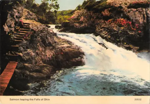 BR91174 Lachs springt die Fälle von Shin Scotland Invershin