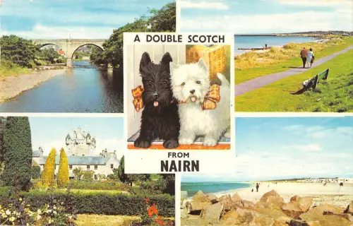 B103966 ein Double Scotch von Nairn Dog Schottland