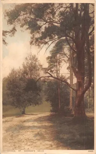 uk33158 st georges hill weybridge real photo uk