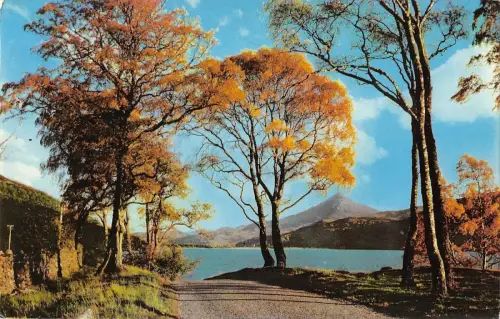 B101328 Loch Rannoch und Schiehallion Schottland 14x9cm