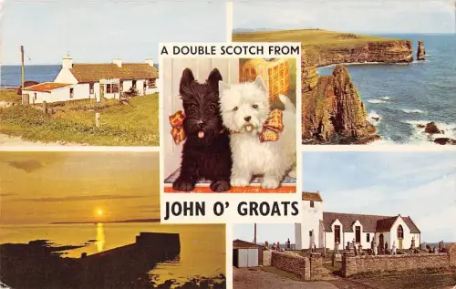 BT3034 John o Groats Dog Chien Scotch Scotland