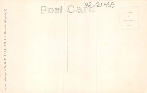 BR61439 Wordsworth Narzissen von ullswater uk