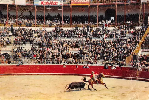 B73287 Portugal Bull Corrida Torros
