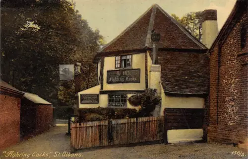 BR64717 Kampfhähne St Albans UK