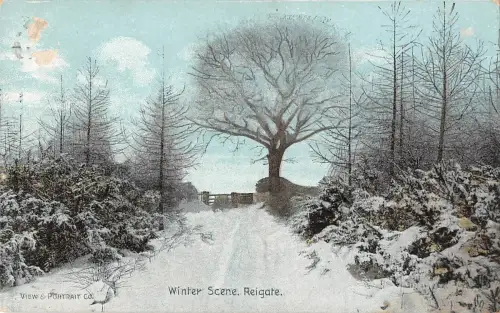 BR70380 Winterszene Reigate UK