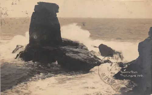 BR61631 bumble rock the lizard uk