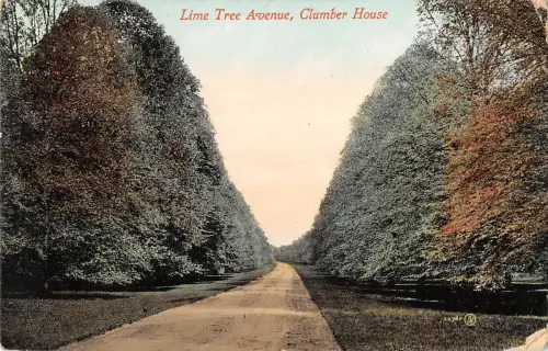 uk33859 lime tree avene clumber house real photo uk