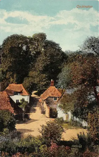 BR64665 cockington uk