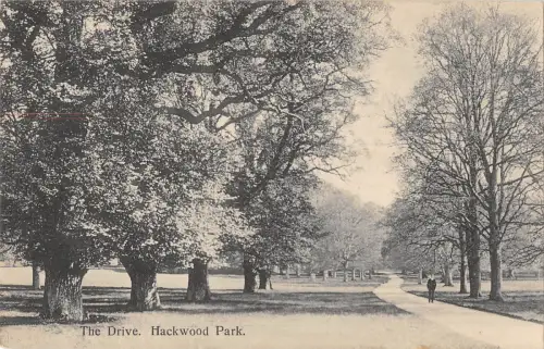 uk33053 the drive hackwood park real photo uk