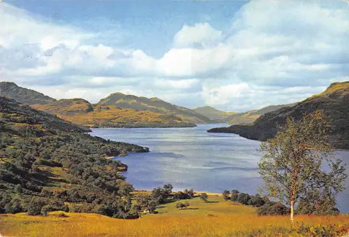 uk6167 loch lomond scotland uk